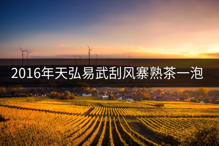 2016年天弘易武刮風寨熟茶一泡耐人尋味！