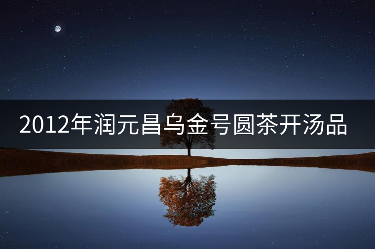 2012年潤元昌烏金號圓茶開湯品鑒 2012年潤元昌烏金號圓茶開湯品鑒