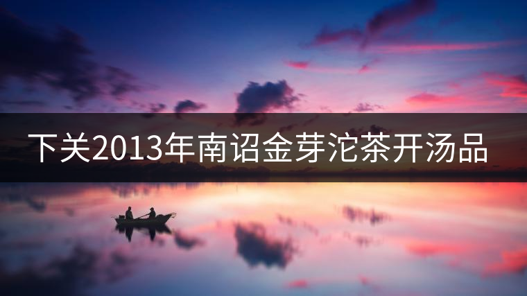 下關(guān)2013年南詔金芽沱茶開(kāi)湯品鑒 下關(guān)2013年南詔金芽沱茶開(kāi)湯品鑒