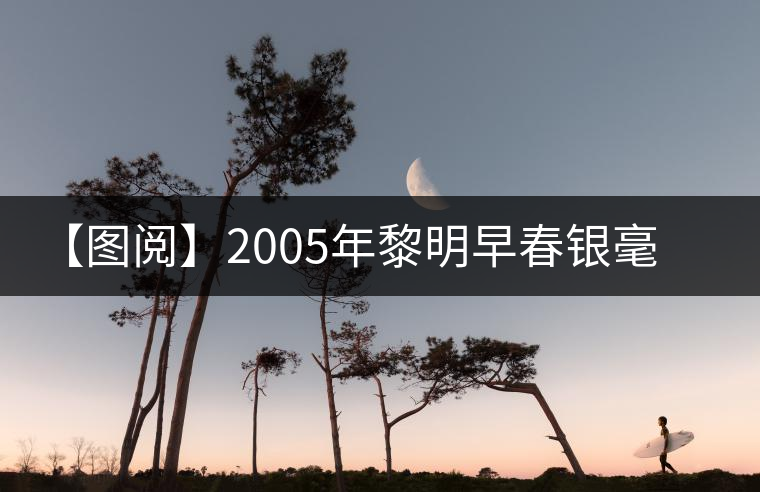 【圖閱】2005年黎明早春銀毫開湯 【圖閱】2005年黎明早春銀毫開湯