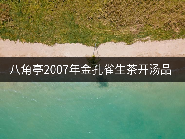 八角亭2007年金孔雀生茶開(kāi)湯品鑒