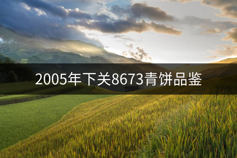 2005年下關(guān)8673青餅品鑒 2005年下關(guān)8673青餅品鑒