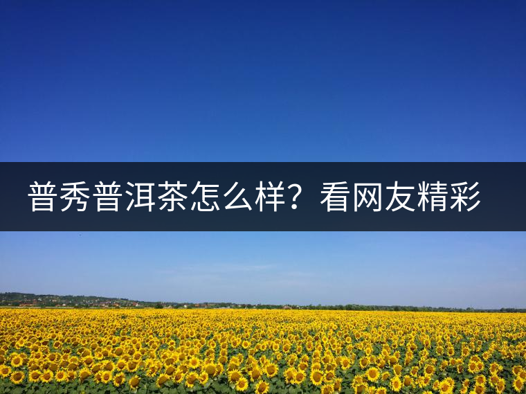 普秀普洱茶怎么樣？看網(wǎng)友精彩回答