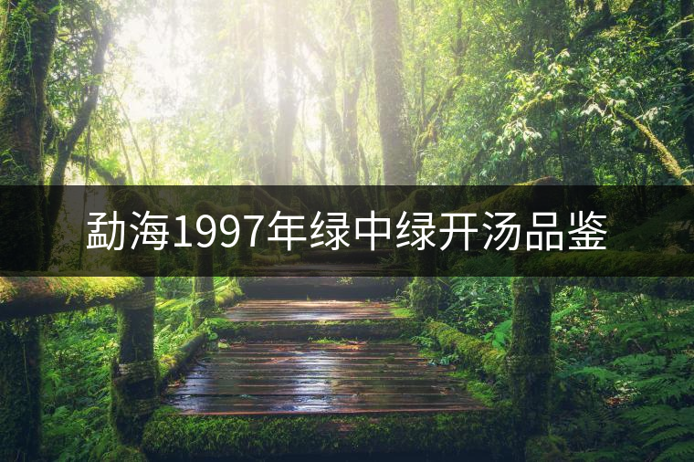勐海1997年綠中綠開湯品鑒