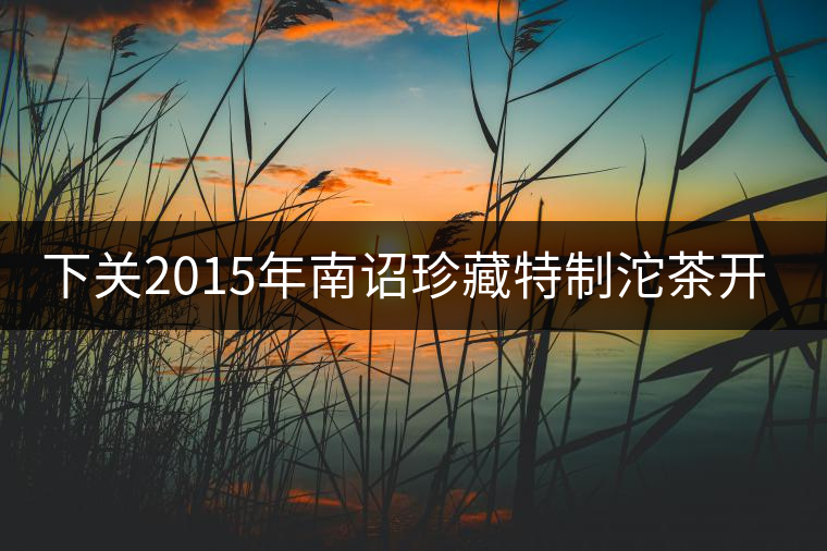 下關(guān)2015年南詔珍藏特制沱茶開湯品鑒 下關(guān)2015年南詔珍藏特制沱茶開湯品鑒