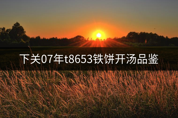 下關07年t8653鐵餅開湯品鑒 下關07年t8653鐵餅開湯品鑒