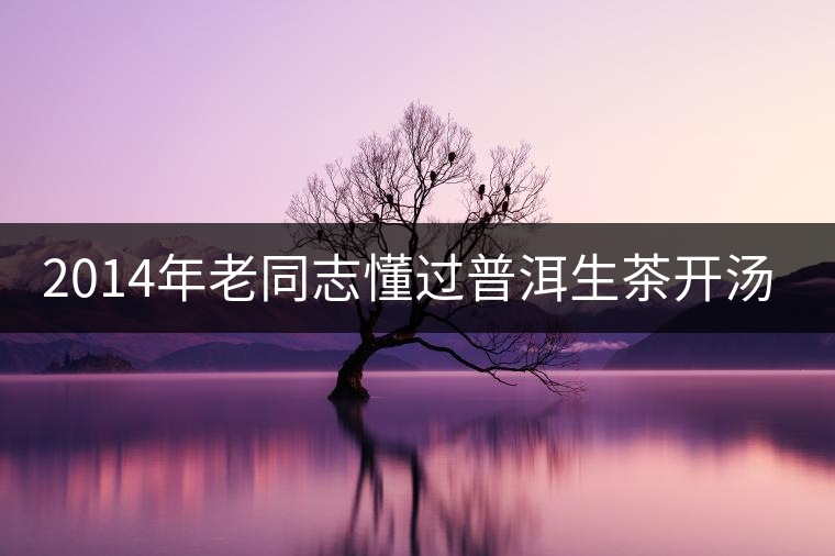 2014年老同志懂過普洱生茶開湯品鑒 2014年老同志懂過普洱生茶開湯品鑒
