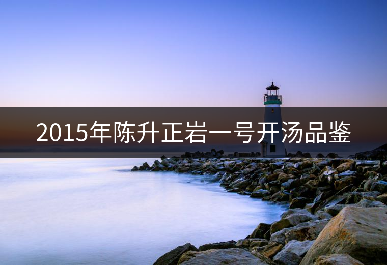 2015年陳升正巖一號(hào)開湯品鑒