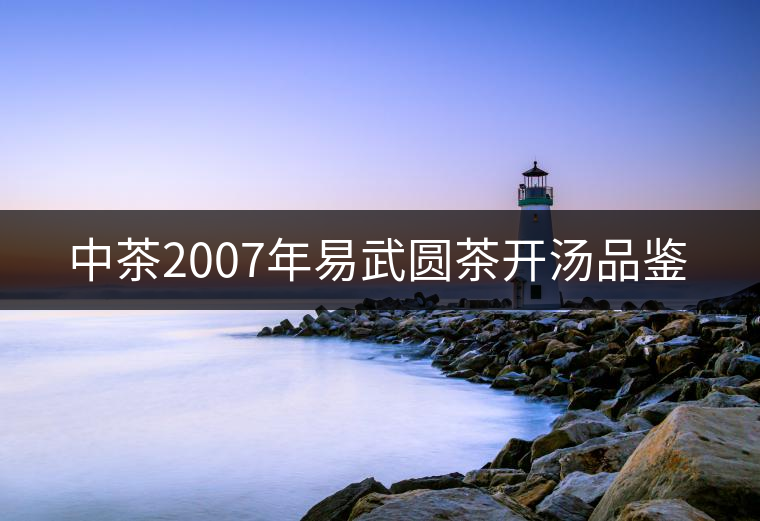 中茶2007年易武圓茶開湯品鑒 中茶2007年易武圓茶開湯品鑒