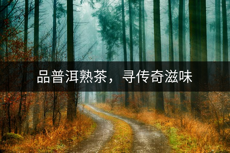 品普洱熟茶，尋傳奇滋味