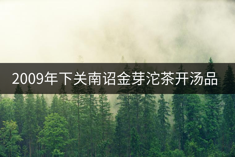 2009年下關(guān)南詔金芽沱茶開湯品鑒