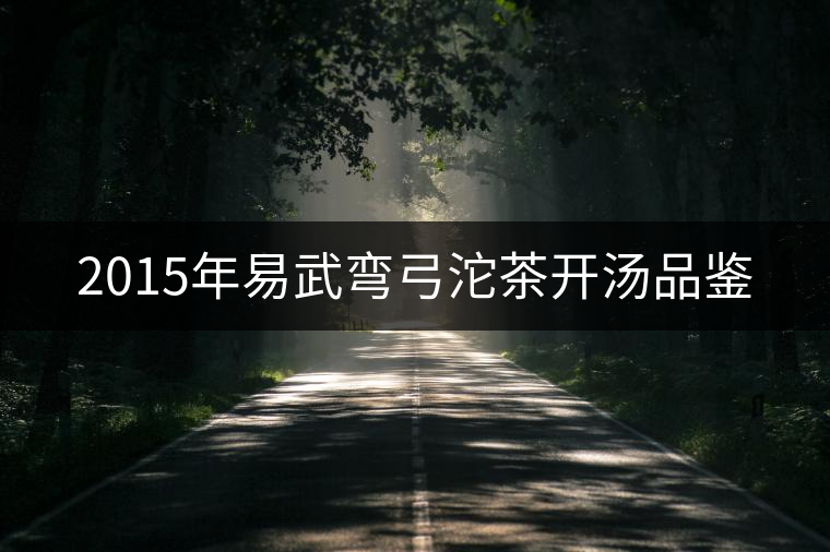 2015年易武彎弓沱茶開(kāi)湯品鑒 2015年易武彎弓沱茶開(kāi)湯品鑒