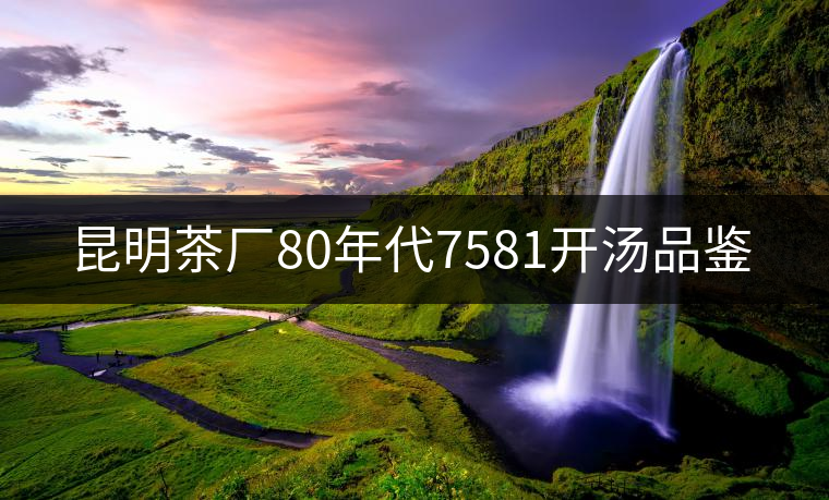 昆明茶廠80年代7581開湯品鑒 昆明茶廠80年代7581開湯品鑒