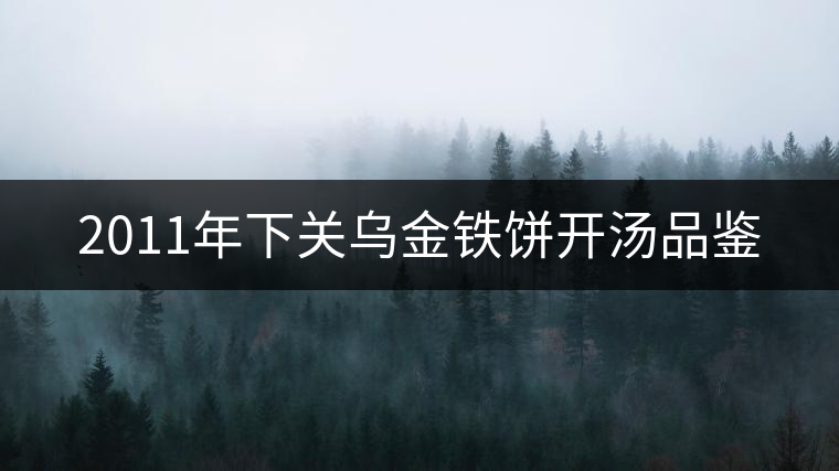 2011年下關(guān)烏金鐵餅開湯品鑒