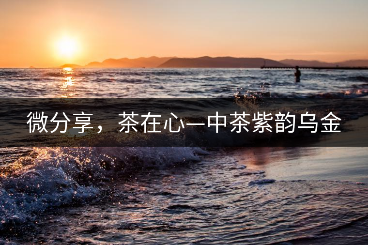 微分享，茶在心—中茶紫韻烏金