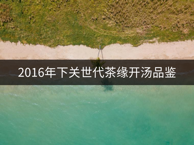 2016年下關(guān)世代茶緣開湯品鑒 2016年下關(guān)世代茶緣開湯品鑒