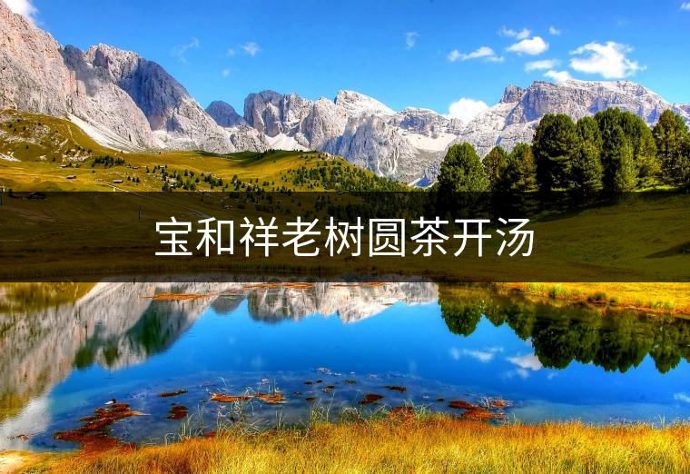 寶和祥老樹圓茶開湯 寶和祥老樹圓茶開湯