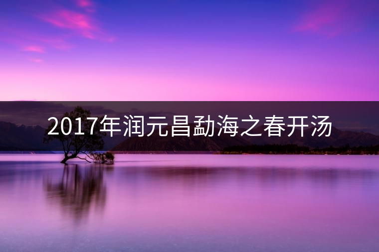 2017年潤(rùn)元昌勐海之春開湯