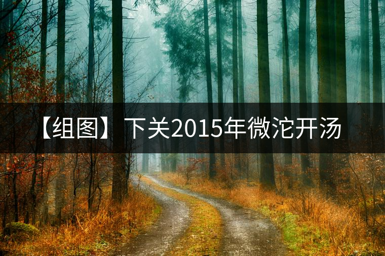 【組圖】下關(guān)2015年微沱開(kāi)湯 【組圖】下關(guān)2015年微沱開(kāi)湯