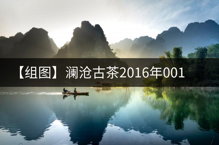 【組圖】瀾滄古茶2016年001開湯 【組圖】瀾滄古茶2016年001開湯