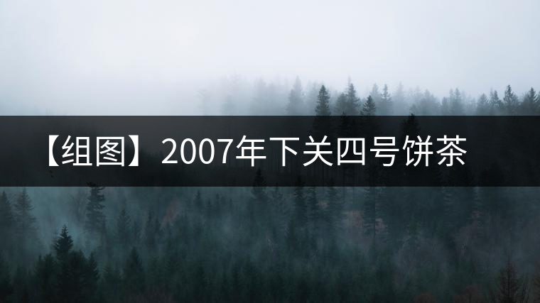 【組圖】2007年下關(guān)四號(hào)餅茶開湯 【組圖】2007年下關(guān)四號(hào)餅茶開湯