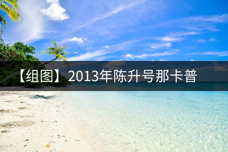 【組圖】2013年陳升號那卡普洱茶開湯