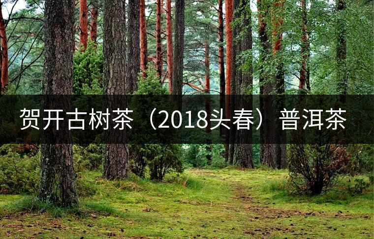 賀開古樹茶(2018頭春)普洱茶評測 賀開古樹茶(2018頭春)普洱茶評測