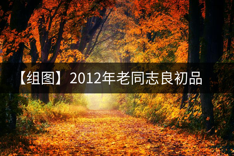 【組圖】2012年老同志良初品熟茶開(kāi)湯