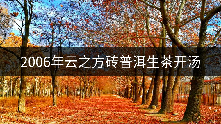 2006年云之方磚普洱生茶開湯 2006年云之方磚普洱生茶開湯