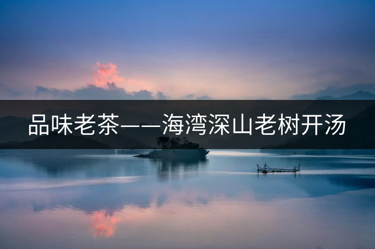 品味老茶——海灣深山老樹開湯 品味老茶——海灣深山老樹開湯