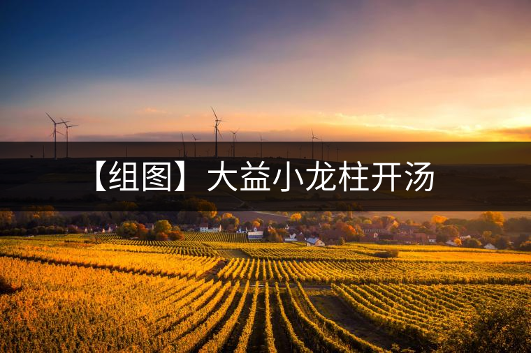 【組圖】大益小龍柱開(kāi)湯 【組圖】大益小龍柱開(kāi)湯