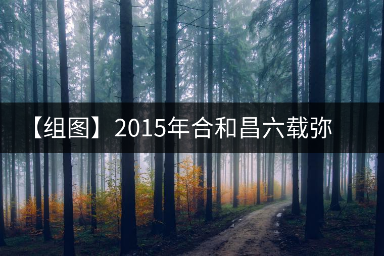 【組圖】2015年合和昌六載彌臻小紅盒開湯 【組圖】2015年合和昌六載彌臻小紅盒開湯