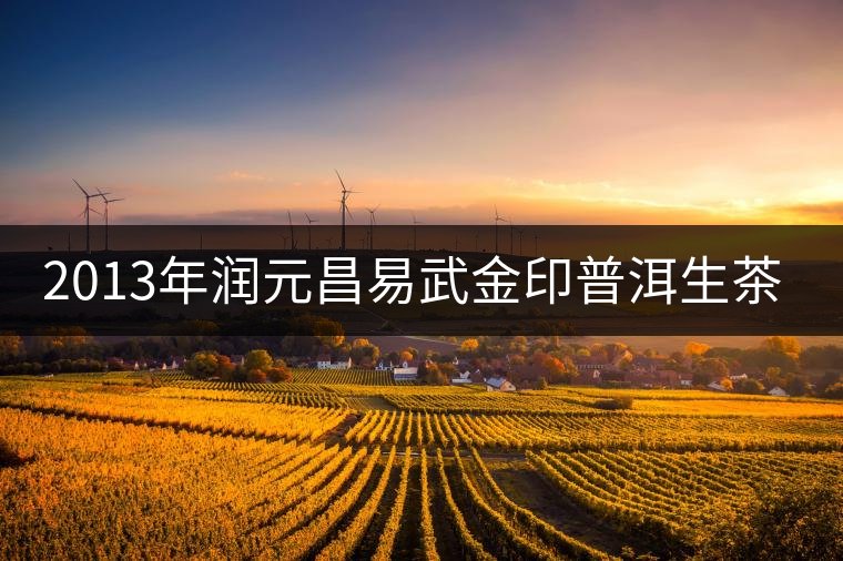 2013年潤元昌易武金印普洱生茶開湯