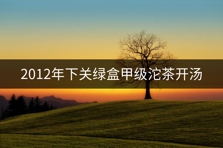 2012年下關(guān)綠盒甲級(jí)沱茶開湯 2012年下關(guān)綠盒甲級(jí)沱茶開湯