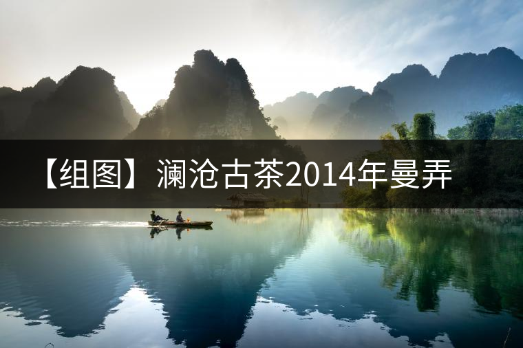 【組圖】瀾滄古茶2014年曼弄有機熟茶開湯 【組圖】瀾滄古茶2014年曼弄有機熟茶開湯