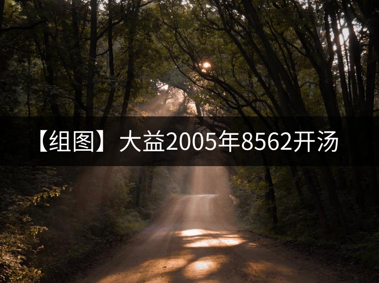【組圖】大益2005年8562開湯 【組圖】大益2005年8562開湯