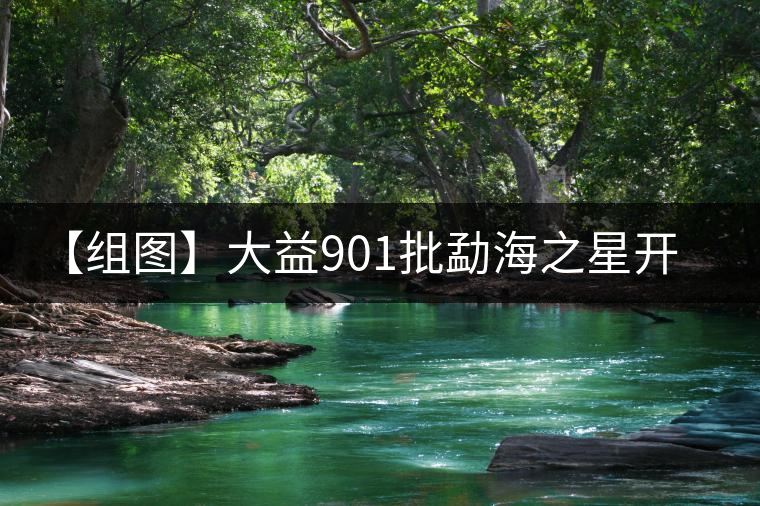 【組圖】大益901批勐海之星開湯