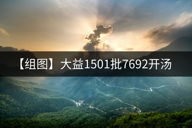 【組圖】大益1501批7692開湯