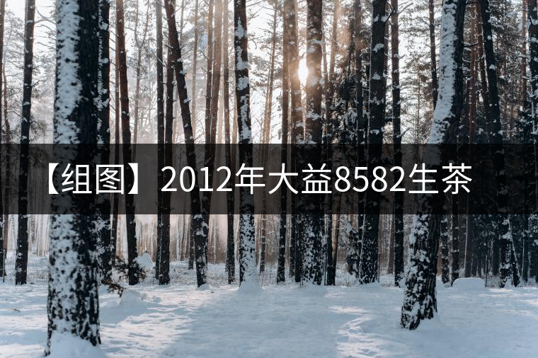 【組圖】2012年大益8582生茶開湯 【組圖】2012年大益8582生茶開湯