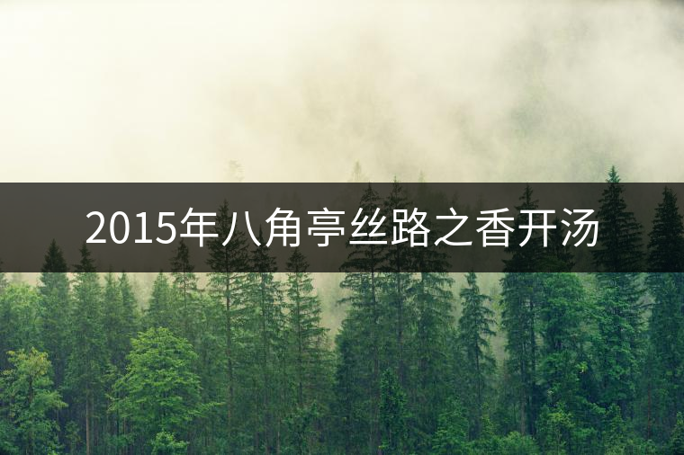 2015年八角亭絲路之香開(kāi)湯 2015年八角亭絲路之香開(kāi)湯