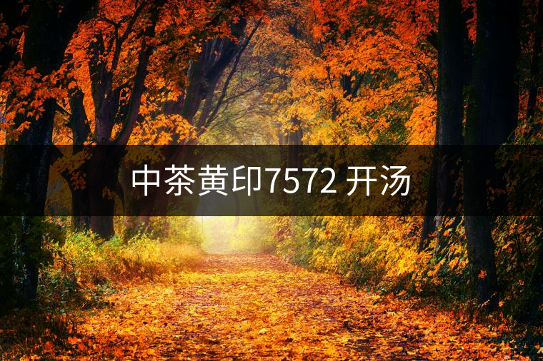 中茶黃印7572 開湯
