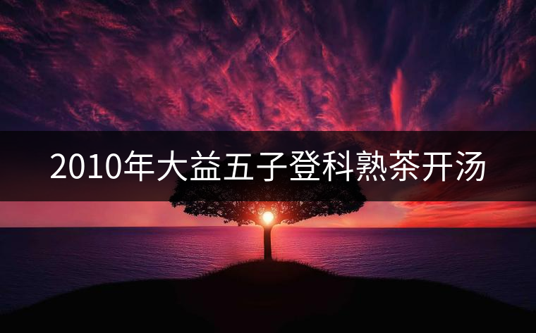 2010年大益五子登科熟茶開湯 2010年大益五子登科熟茶開湯