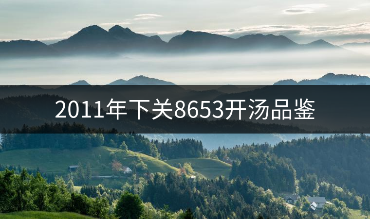 2011年下關8653開湯品鑒 2011年下關8653開湯品鑒