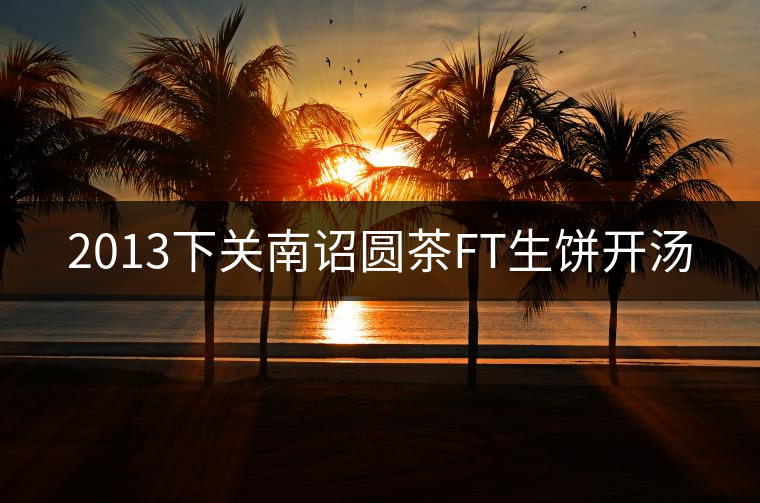 2013下關(guān)南詔圓茶FT生餅開湯 2013下關(guān)南詔圓茶FT生餅開湯