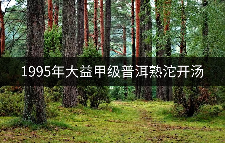 1995年大益甲級(jí)普洱熟沱開湯 1995年大益甲級(jí)普洱熟沱開湯