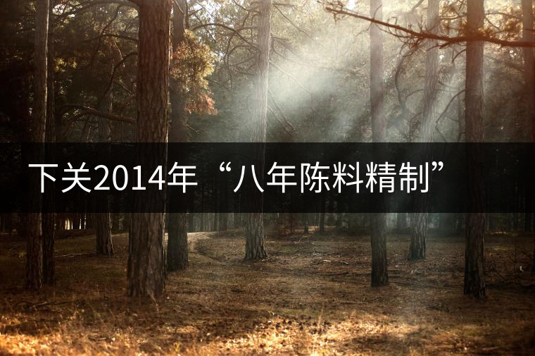 下關2014年“八年陳料精制”版高原陳開湯