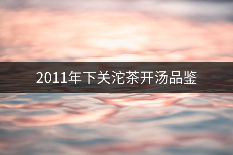 2011年下關(guān)沱茶開湯品鑒 2011年下關(guān)沱茶開湯品鑒