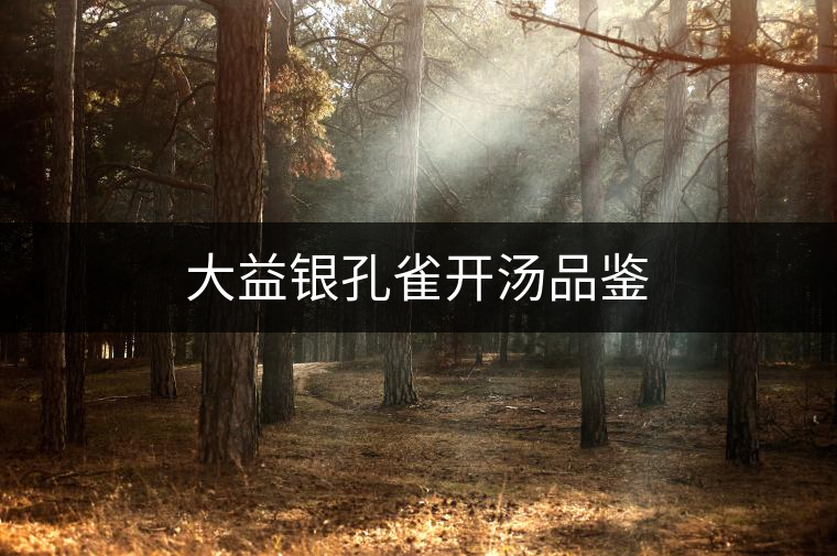 大益銀孔雀開(kāi)湯品鑒 大益銀孔雀開(kāi)湯品鑒