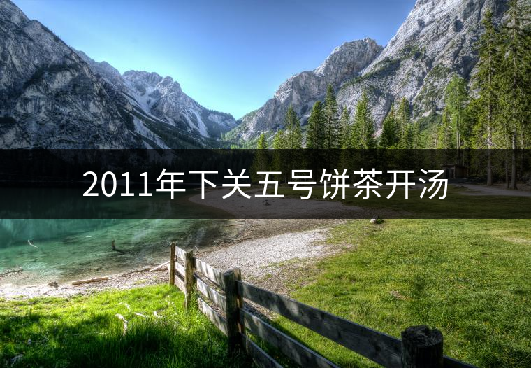 2011年下關(guān)五號餅茶開湯 2011年下關(guān)五號餅茶開湯