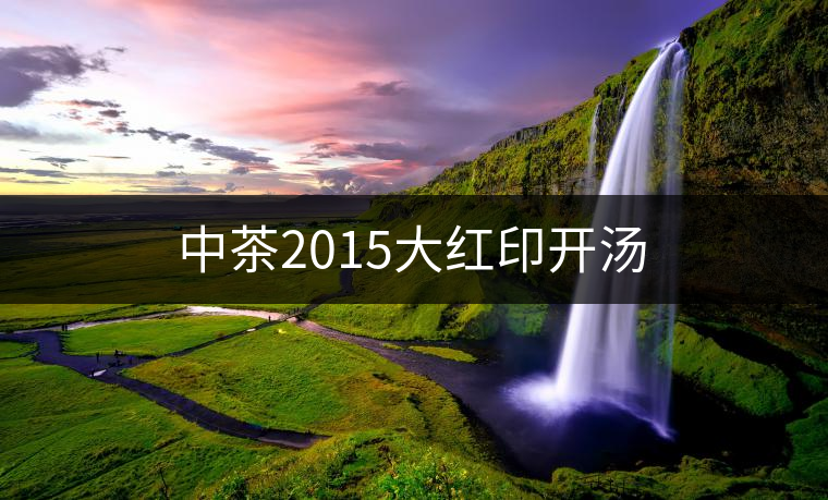 中茶2015大紅印開(kāi)湯 中茶2015大紅印開(kāi)湯